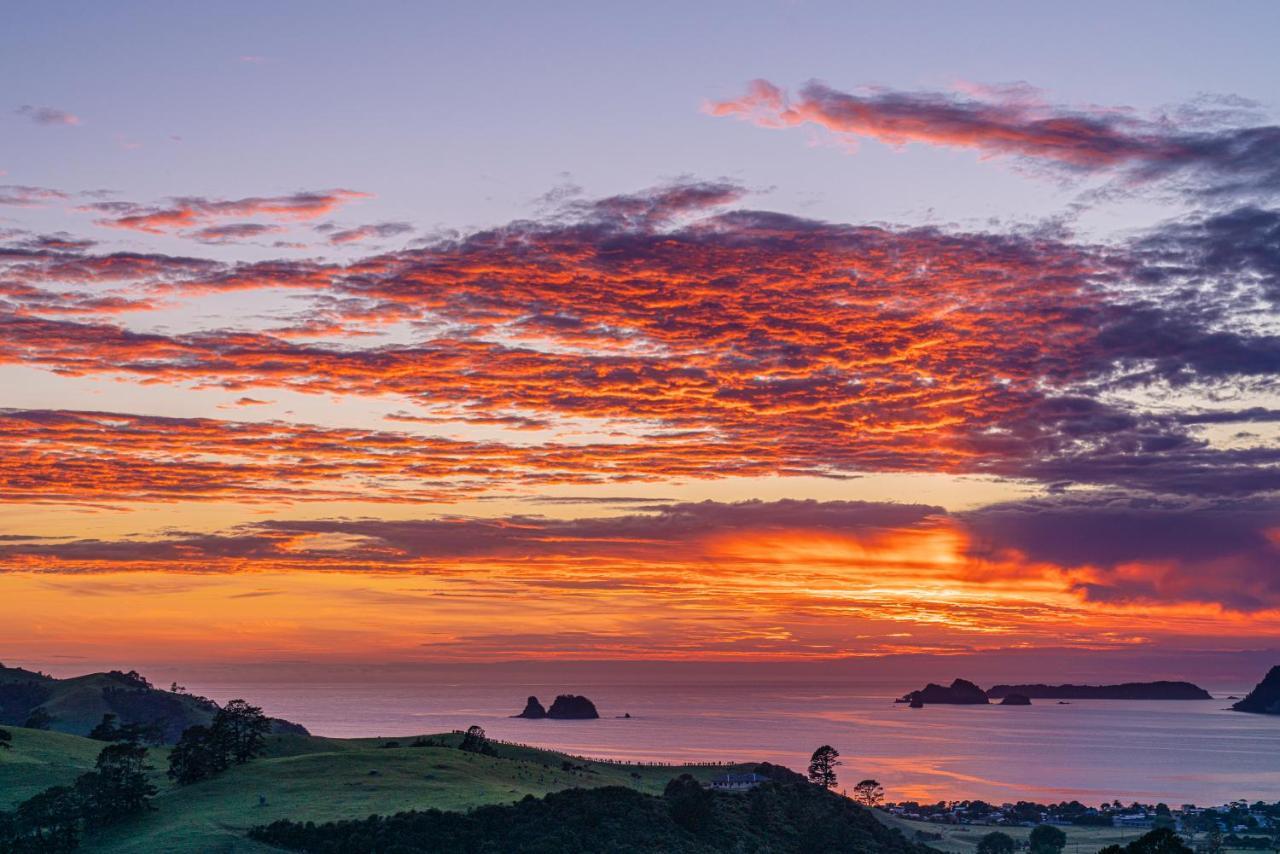 Bayview Valley Lodge Bed & Breakfast Whitianga Eksteriør bilde