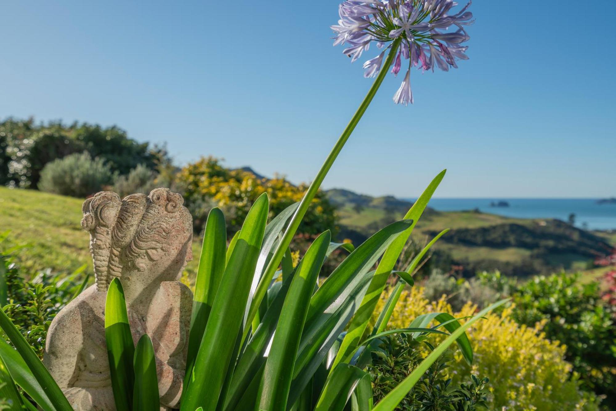 Bayview Valley Lodge Bed & Breakfast Whitianga Eksteriør bilde